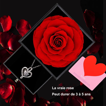 Rose Eternelle Rouge,Femme Boîte De Roses,Fleur Conservée,Rose Stabilisée,Cadeau Pour Elle La Anniversaire Saint Valentin Noël Fête Des Mères Cadeaux Pour Sa Femme Maman Grand-Mère Copine